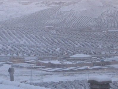 Jaén nevado 2
